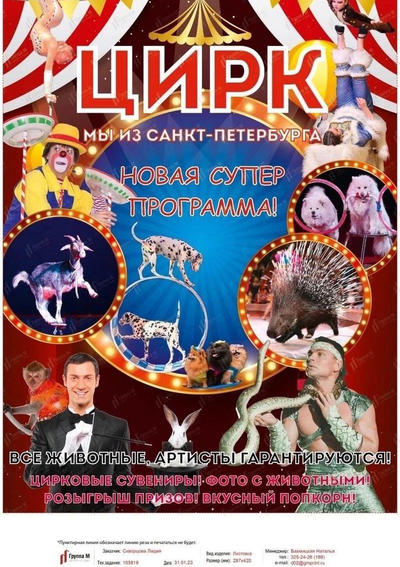 25 февраля 12:00 Цирк "Мы из Санкт-Петербурга"